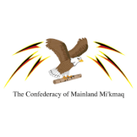 CMM logo